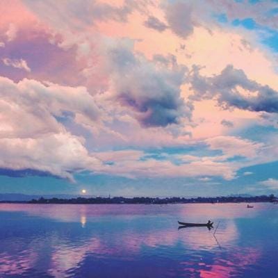 صبہ حمید avatar